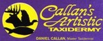 Callan's Artistic Taxidermy